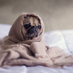 C’est quoi la dépression saisonnière ?